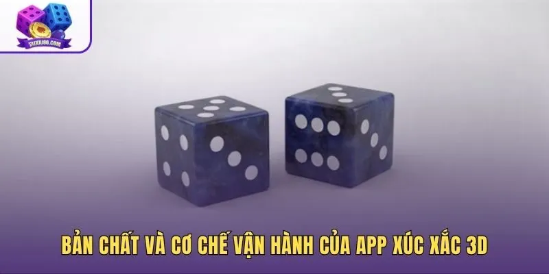 Mô phỏng vật lý đa chiều trên app xúc xắc 3D